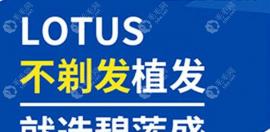 不剃发植发选哪家医院好?首选国内出名植发机构-碧莲盛植发