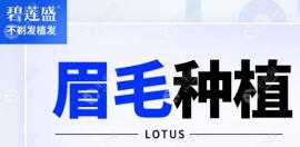 南昌植眉毛价格一般要多少钱?国丹/碧莲盛/第十二医院报价