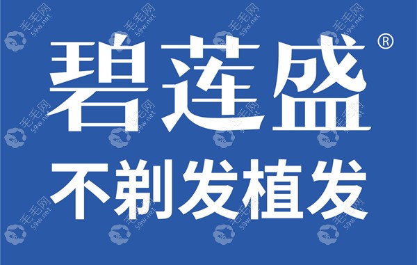 2022武汉碧莲盛植发价格表