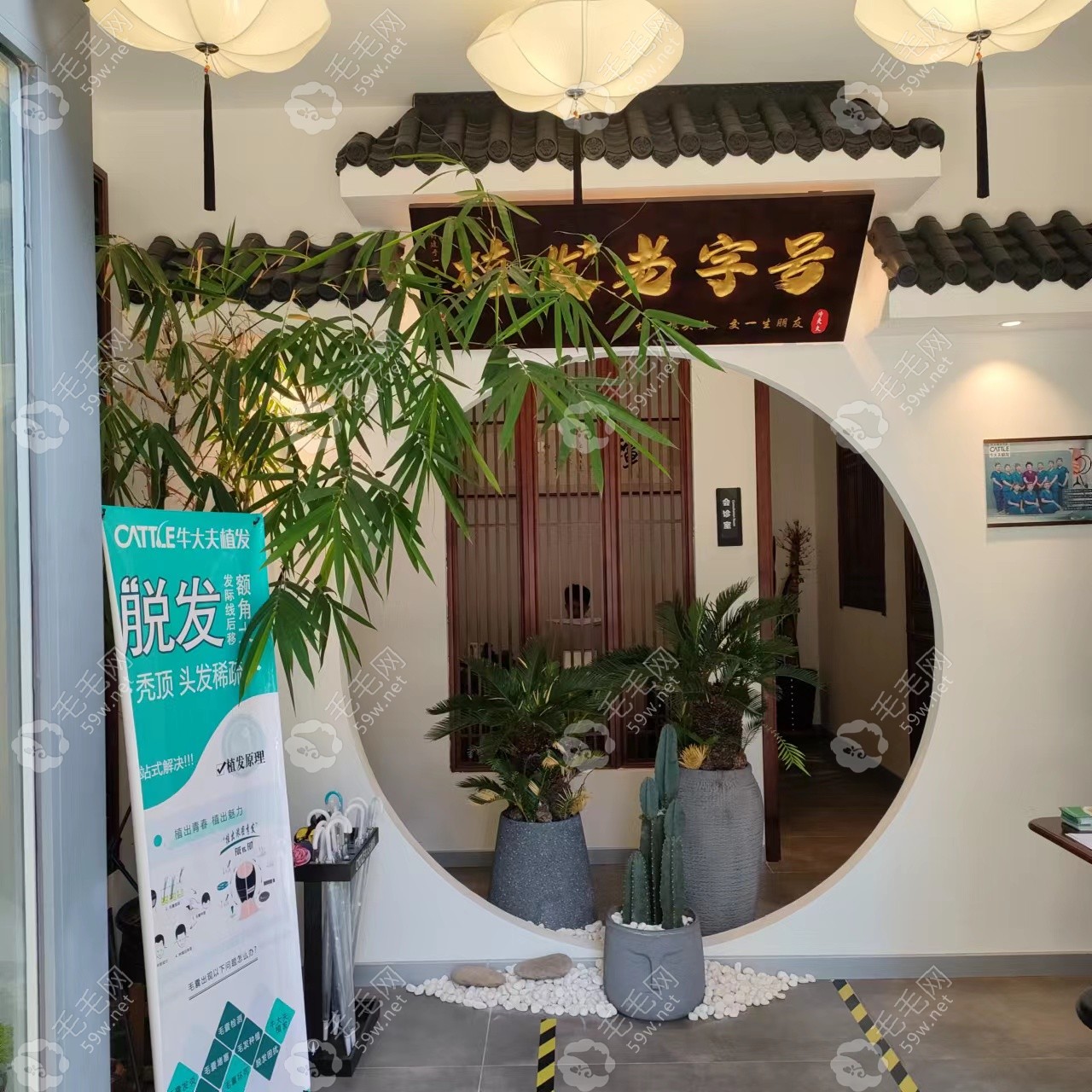 沈阳牛大夫植发价格