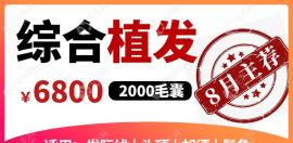 植發(fā)優(yōu)惠價格表:FUE|微針植發(fā)1000|2000單位6800-9800元起