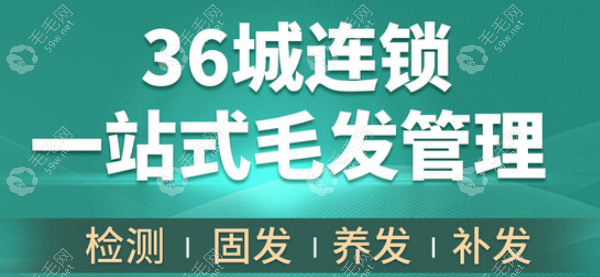 深圳碧莲盛植发什么价格?戳碧莲盛/莲空间/莲主任植发价格