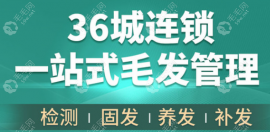 深圳碧莲盛植发什么价格?戳碧莲盛/莲空间/莲主任植发价格