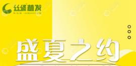 成都絲緣繆斯發(fā)際線植發(fā)特惠價(jià)格:種植1000/1800單位價(jià)格5k起