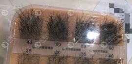 女生发际线种植密度是越多越好吗?种植50/60数量密度可以吗?