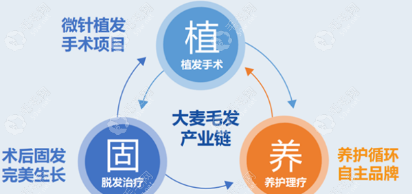 成都锦江大麦微针植发