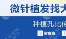 大麦中胚治疗怎么样?大麦中胚生发pt88和pt66有什么区别来看