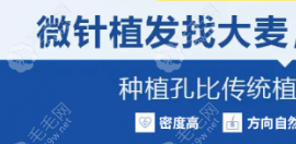 大麥中胚治療怎么樣?大麥中胚生發(fā)pt88和pt66有什么區(qū)別來看