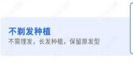 碧莲盛不剃发植发成活率高吗?碧莲盛不剃发植发技术挺成熟