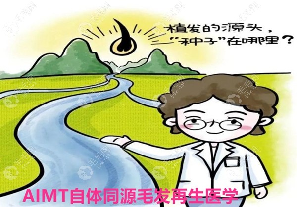 AIMT自体同源细胞再生医学系统微移植术上线,毛发研究新成果