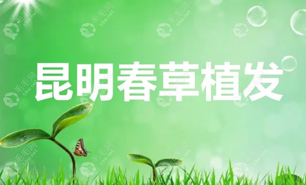 昆明春草植发连锁机构 www.59w.net