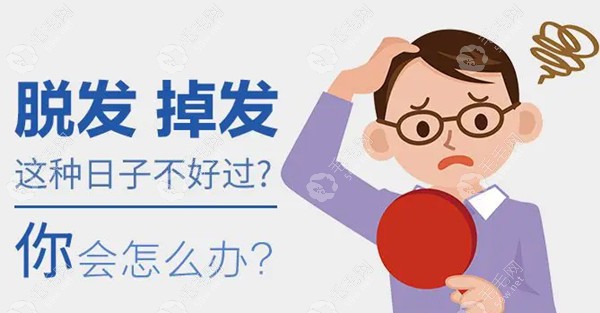 头发大量脱落是什么原因造成的?生活中怎样保护头发不掉落