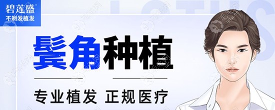 碧莲盛鬓角种植价格32000元起