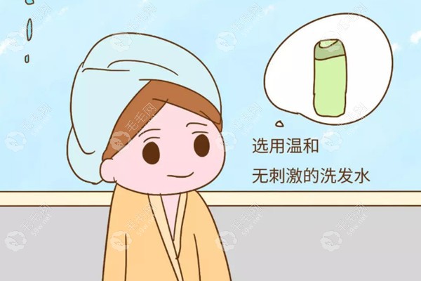 女生脱发用什么洗发水好?