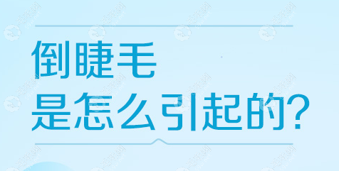 解析成人倒睫毛是什么原因引起的,快看倒睫毛的处理小妙招