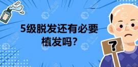 5级脱发还有必要植发吗?当然有,但七级脱发就不建议了