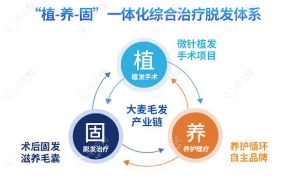 大麦微针植发植养护体系