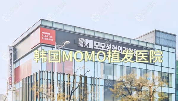 韩国毛茂MOMO植发医院