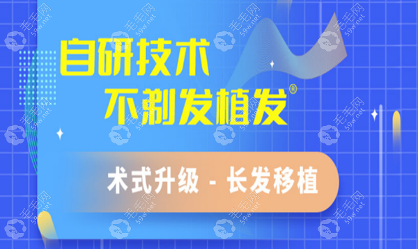 碧莲盛完全不剃发价格多少?40元起/单位,可直接提取8-15厘米