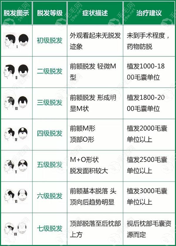 根据植发毛囊面积图看:植发1000/2000/3000/4000个毛囊有多大面积