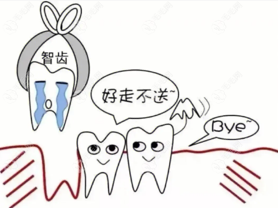 拔智齿收费价目明细