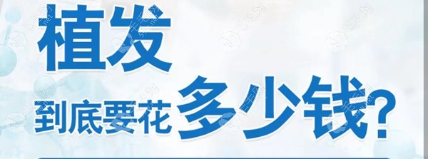 联合丽格植发多少钱一次?丽格植发连锁一单位价格15-30元起