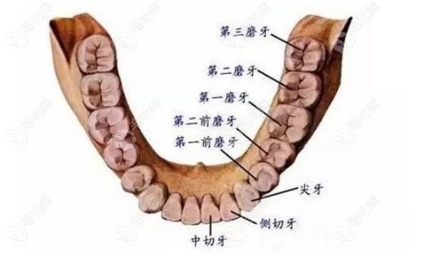 成都十大种植牙医院排行榜,排名前十武侯布莱梅/锦江极光