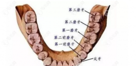 成都十大种植牙医院排行榜,排名前十武侯布莱梅/锦江极光