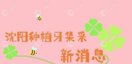 沈阳种植牙集采价格单颗植体价格1855元,4月20日全面落地实施