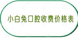 小白兔口腔牙科价目表:看西安/宝鸡/洛阳小白兔收费怎么样