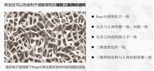 日本再生硅牙膏是智商税吗59w.net