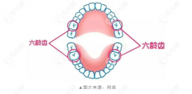 六龄齿窝沟封闭一颗牙多少钱?100-200元起/不用长一颗做一颗