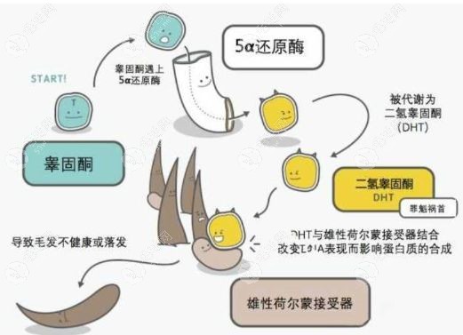 吉荷堂治疗脱发真的有用吗