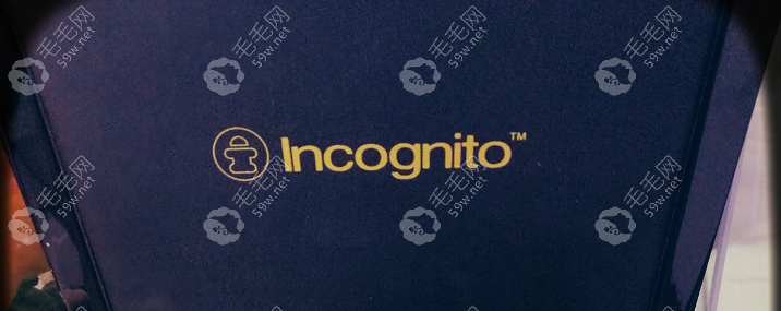 Incognito舌侧矫正