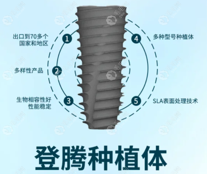 韩国登腾种植牙2024价格表