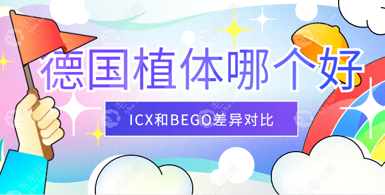 价格与性能大比拼:德国icx和德国bego哪个好，选谁更划算