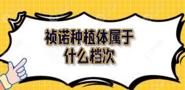 禎諾種植體屬于什么檔次？韓國中端植體,性價比很高