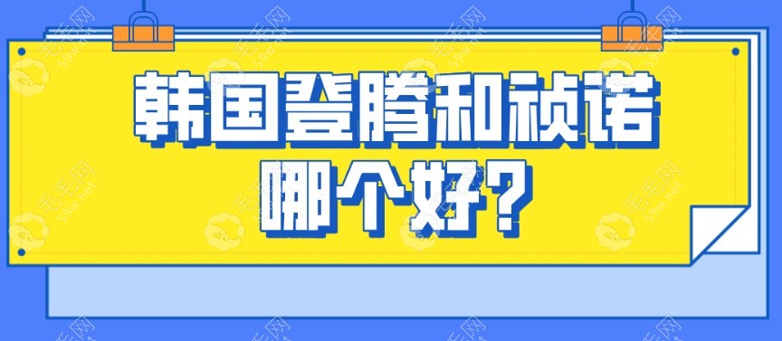 韩国登腾和祯诺哪个好?对比两者的优势和特点发现...