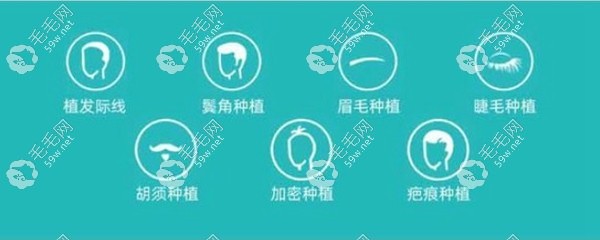 植发机构可以做的植发项目www.59w.net