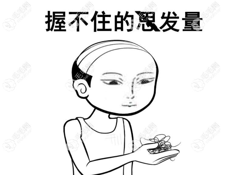 经常掉发怎么办