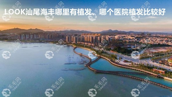 看汕尾哪个医院植发比较好