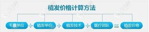 植发价格的计算方式