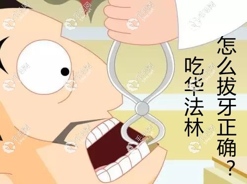 吃华法林怎么拔牙正确www.59w.net
