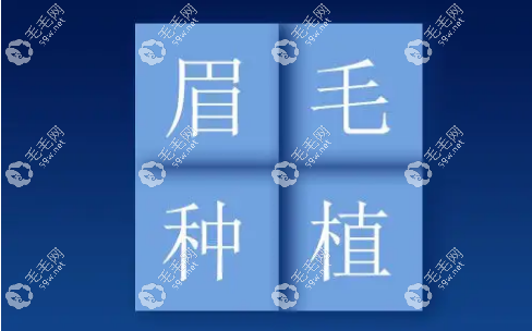 西安大麦微针加密植眉技术
