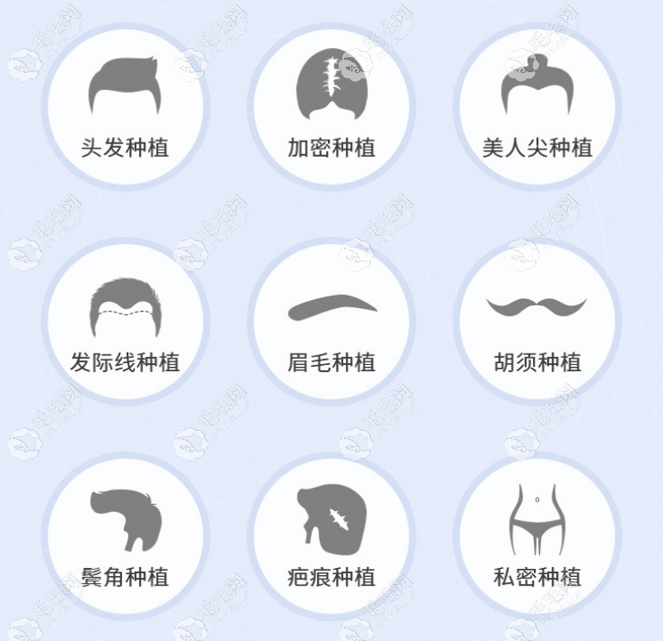 全新的深圳植发价格表