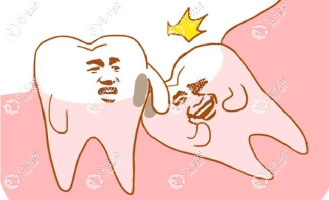 普通的智齿普通的长www.59w.net