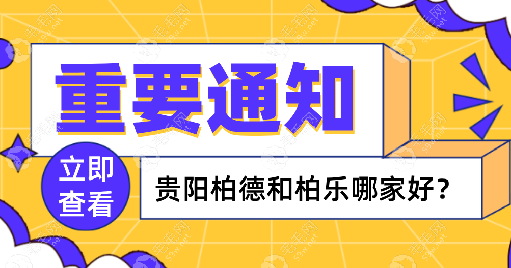 贵阳柏德和柏乐哪家好?用户评:两家口碑都不错-但侧重不同