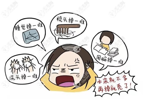 女士秃顶的原因