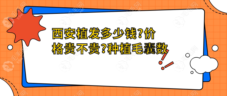 西安植发多少钱?价格贵不贵?种植毛囊数量决定你的手术费用