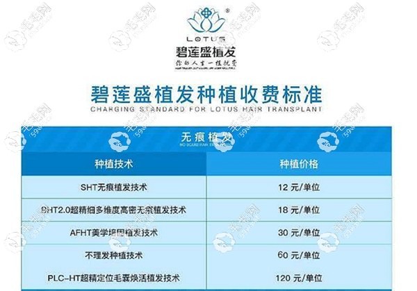 长沙碧莲盛种植头发收费标准